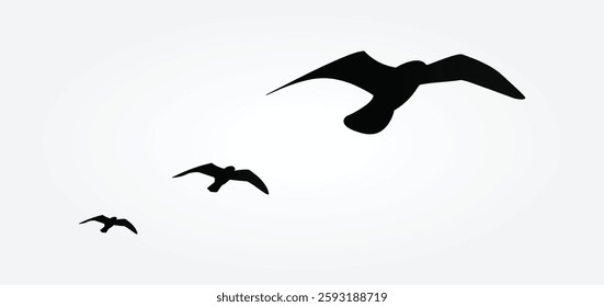 3 birds flying silhouette vector art design, illustration