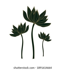 3 black lotuses with lines, silhouettes of lotuses, water lilies