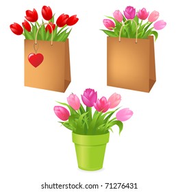 3 Bouquets Tulips In Package, Isolated On White Background, Vector Illustration