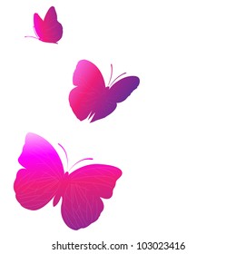 3 Bright  Butterflies, Isolated On White Background, Vector Illustration