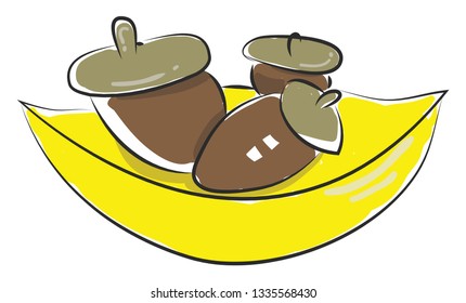 A 3 brown colored acorns above a yellow colored leaf, vector, color drawing or illustration.