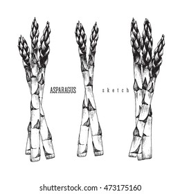 3 Bundle of asparagus of 3 and 2 stalks of asparagus vector isolated set black illustration sketch hand drawn on white background.