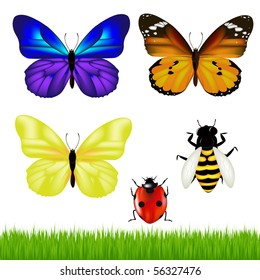 3 Butterflies, Ladybird, Bee And Green Grass