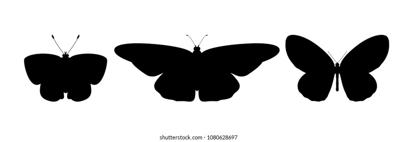 3 butterflies. Vector insect. Butterfly black silhouette