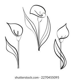 3 flores de calila. Icono vector minimalista para el diseño del logo florista. Arte lineal botánico para postales, tee print, wallart, carteles, portadas, web, diseño de empaquetado, historias en redes sociales.