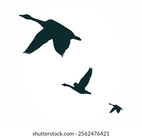 3 Canadian Geese Flying in a Row Silhouettes Vector Art