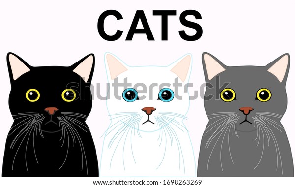 3 Cats Stay Inline Black Cat Stock Vector Royalty Free 1698263269