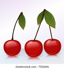 3 cherries on reflecting surface (other fruits & berries are in my gallery)