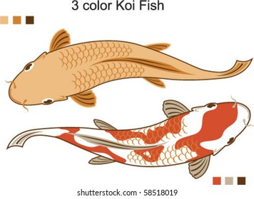 3 color Koi Fish