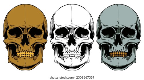 3 color skull artwork. Eps 10