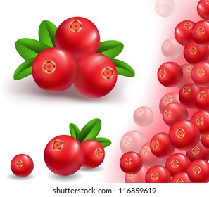 3 cranberries with leaves
