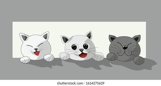 3 cute cats in the large window