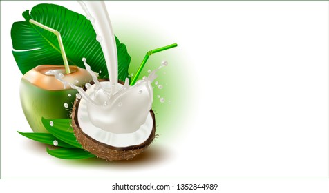 3 d. Ripe and Green Coconut with white flesh and palm leaves on a white background. Splash of coconut milk.Vector illustration.