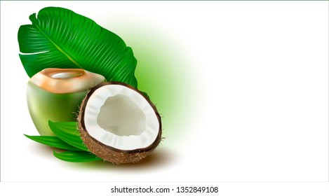 3 d. Ripe and Green Coconut with white flesh and palm leaves on a white background.Vector illustration.