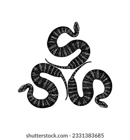 3 death adder snakes hand drawing vector isolated on white background.