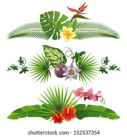 3 decorative tropical borders from leaves and flowers