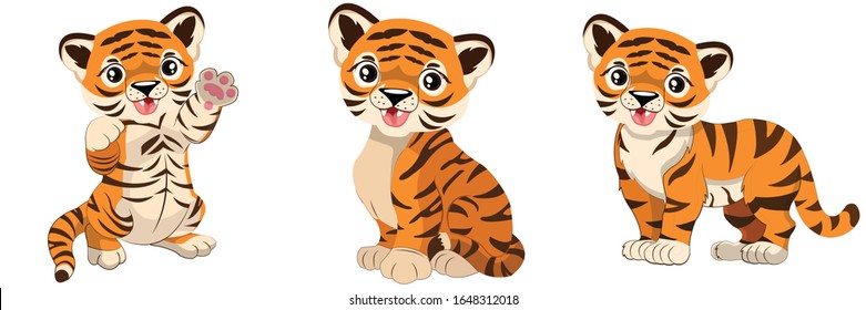 3 Different Poses of Baby Tiger