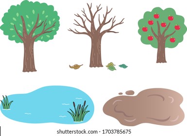 3 different types of trees, including dead branches and apple trees, ponds and mud ponds