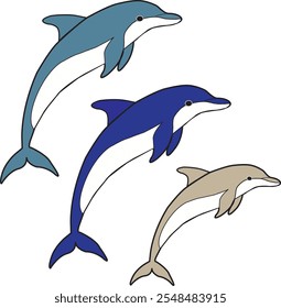 3 dolphins with 3 beautiful color