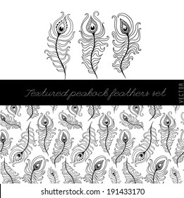 3 doodle peacock feathers and seamless pattern set.
