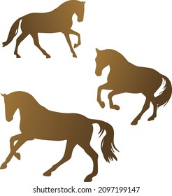 3 dressage horses preforming different variations of the canter. This includes collected, flying lead change, and lengthened canter. 