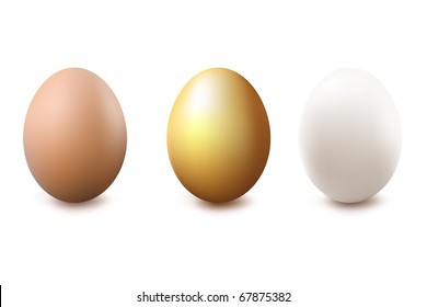 3 Huevos, Oro, Blanco Y Marrón, Aislados En Fondo Blanco, Ilustración Vector