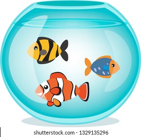 3 fish in the aquarium