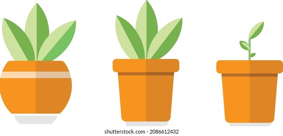 3 Flat Design Potted Plants, Home Plants, Mini Garden Potted, Flower Potted
