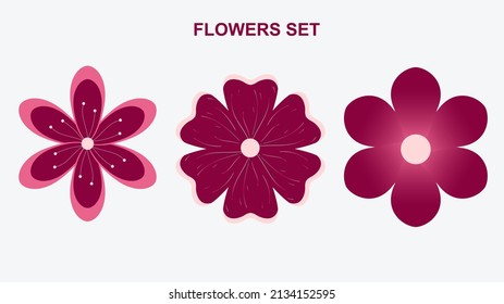 
3 flowers of different shapes and different colors