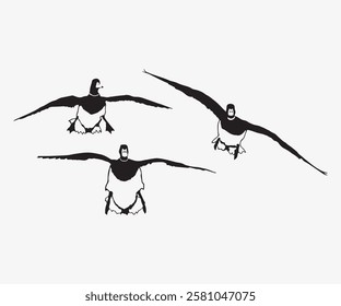 3 flying duck silhouette. free vector illustration