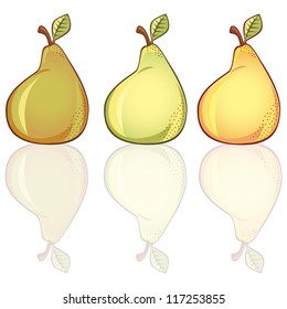 3 fresh pears in different colors. Shadows contains transparency.