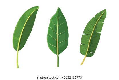 3 Green Leaves Tropical Botanical Nature Designs