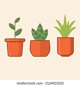 3 green plants in orange pots, vector icon set illustration, flat design