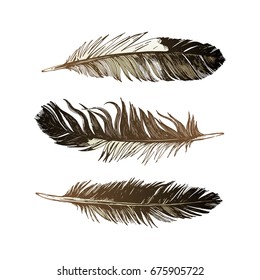 3 hand drawn black and white feathers. Vector illustration