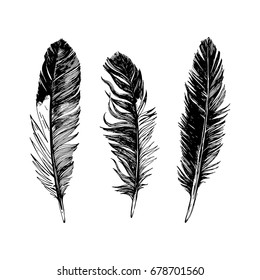 3 hand drawn black and white feathers. Vector illustration