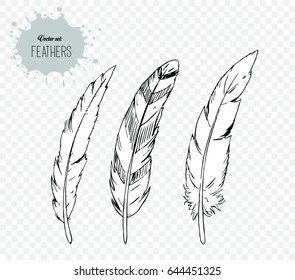  3 hand drawn feathers isolated on background