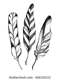 3 hand drawn rustic feathers on white background. Hand drawn set of feathers. Boho style vector illustration