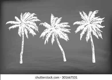 3 hand-drawn palm trees on white background. Elements for design.