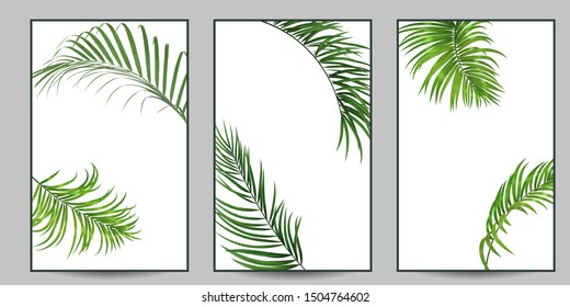 3 interior posters with palm leaves