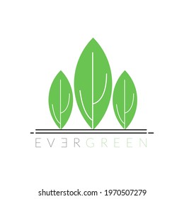 3 leaf of pines tree for evergreen logo brand