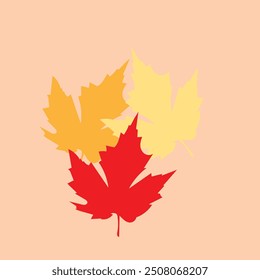 3 maple leaf vector, flat illustration