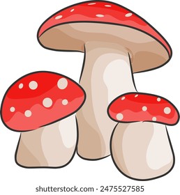 3 Mushrooms illustrations isolated Eps