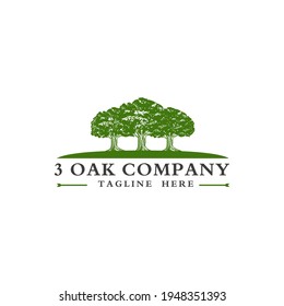 3 Oak tree company logo design vector