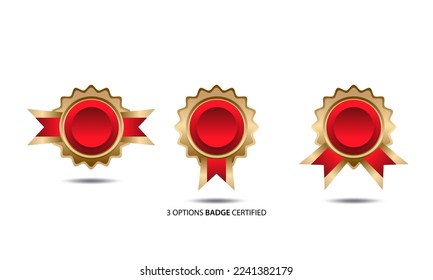 3 Opciones Diseño de logotipo de placa certificada para la formación de la empresa