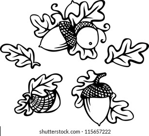 3 painted vector acorns with leafs, black white stylize