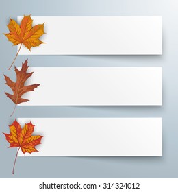 3 paper banners with foliage on the white background. Eps 10 vector file.