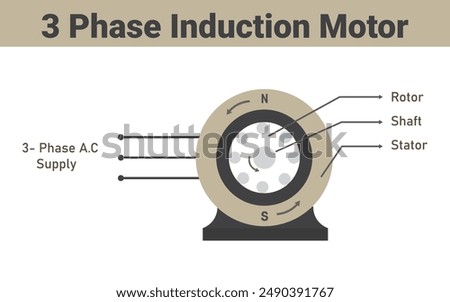 3 phase induction motor's construction, vector design