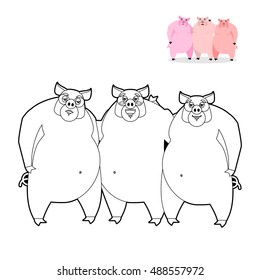 3 pig coloring book. Three Little Pigs in  linear style. Funny farm animals. Good character from fairy tale. Thick pink animal. Lovely boar
