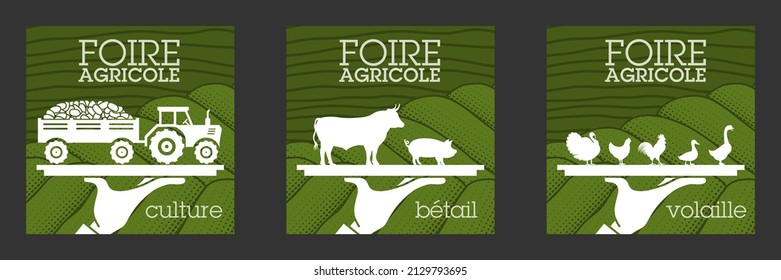 3 posters for an agricultural exhibition symbolically representing the presentation of equipment for agriculture and animals, livestock and poultry, for breeding - translation: agricultural fair.