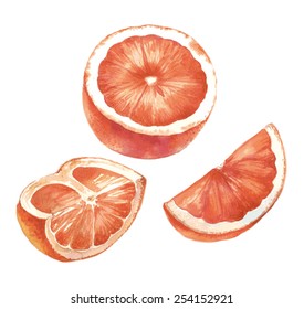 3 red grapefruit isolated objects vector illustrations